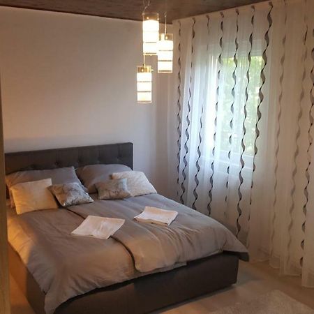 Gutenberg Utca Apartman סגד מראה חיצוני תמונה
